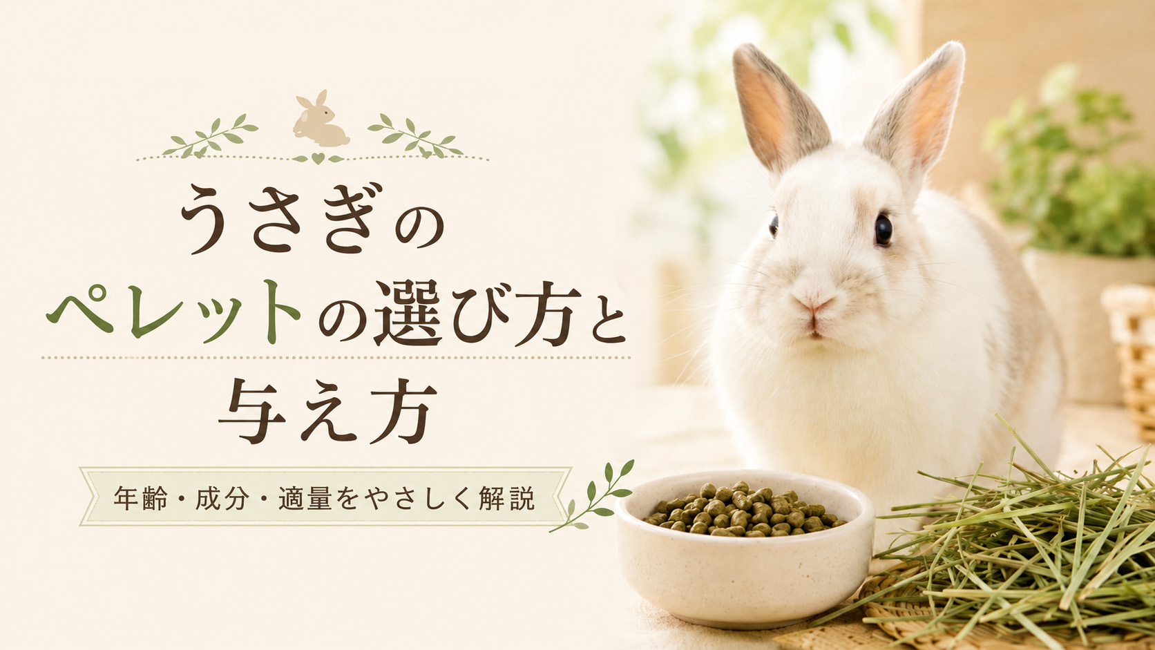 �������Υڥ�åȤ���������Ϳ����